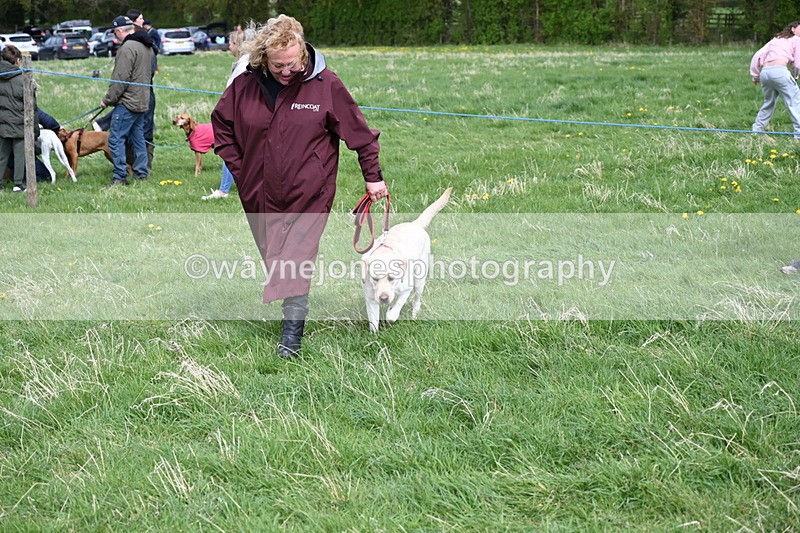 WJ6_8349 - Class 4 Prettiest Bitch