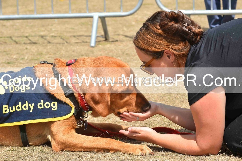 SH4_0245 - Dog show.