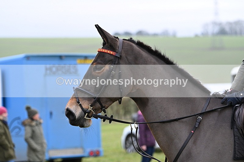 WJ7_6444 - Meet 12.30