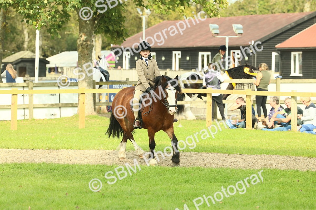 SBM_69048 - S58 - Mini Show Cob Ridden