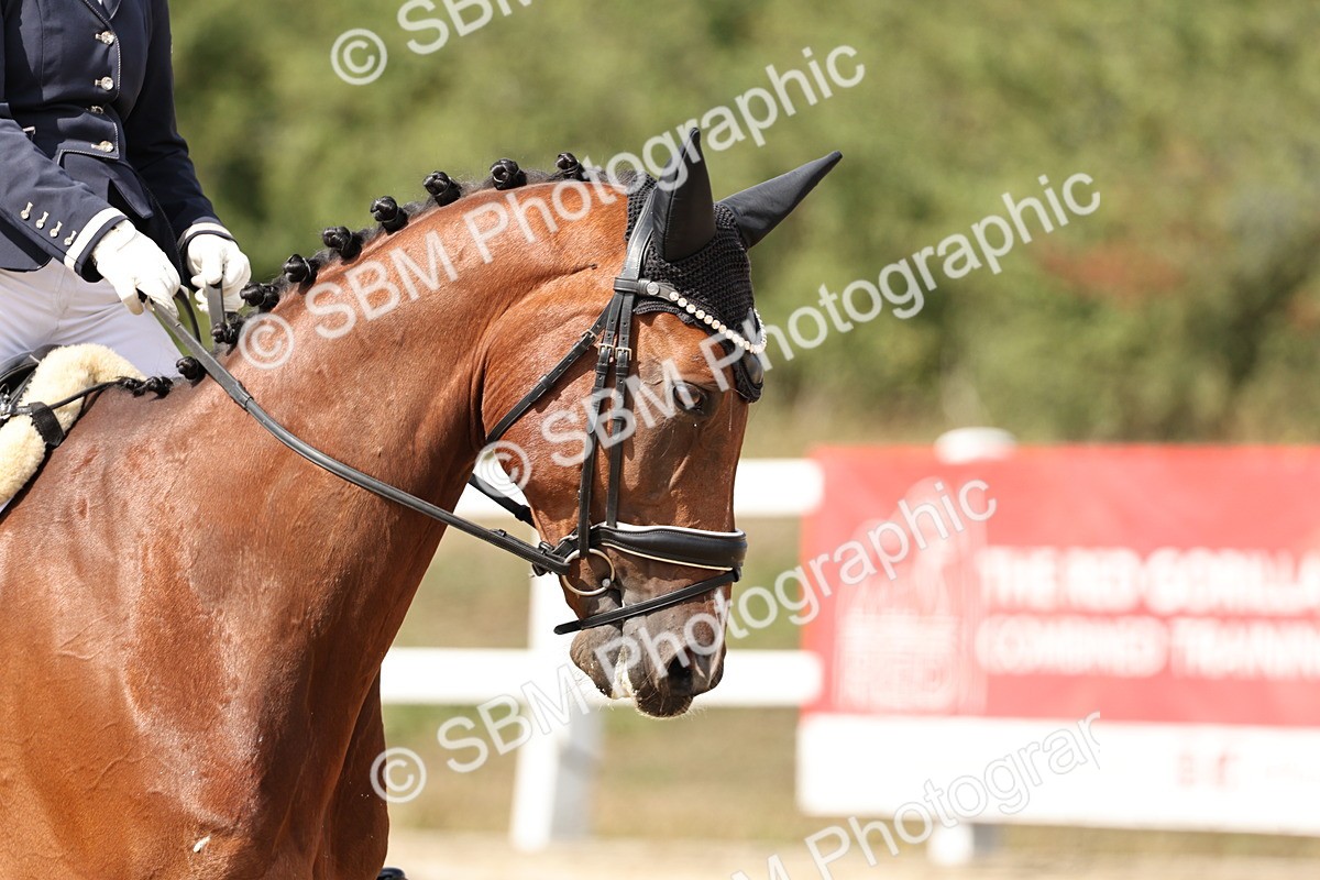 SBM_014619 - Class 5 - Elementary 4