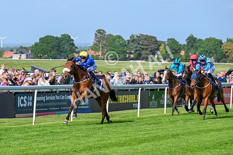 270526-Race 7-King Of The Jungle-3703 - Race 7 17.20pm Racing Again This Saturday Apprentice Handicap