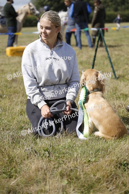 20250831-3707 - Dog Show