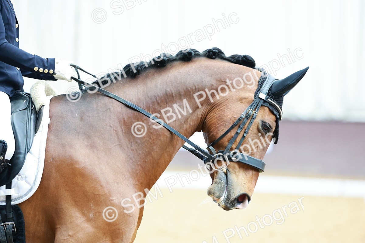 0B8A4925 - Class 11 - M5