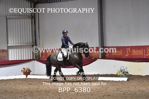 BPP_6380 - 37 Ellis Simister