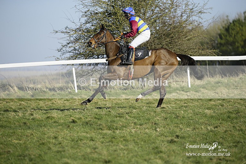 PtP 270222 288 - South & West Wilts Point-to-Point Larkhill 27/02/22