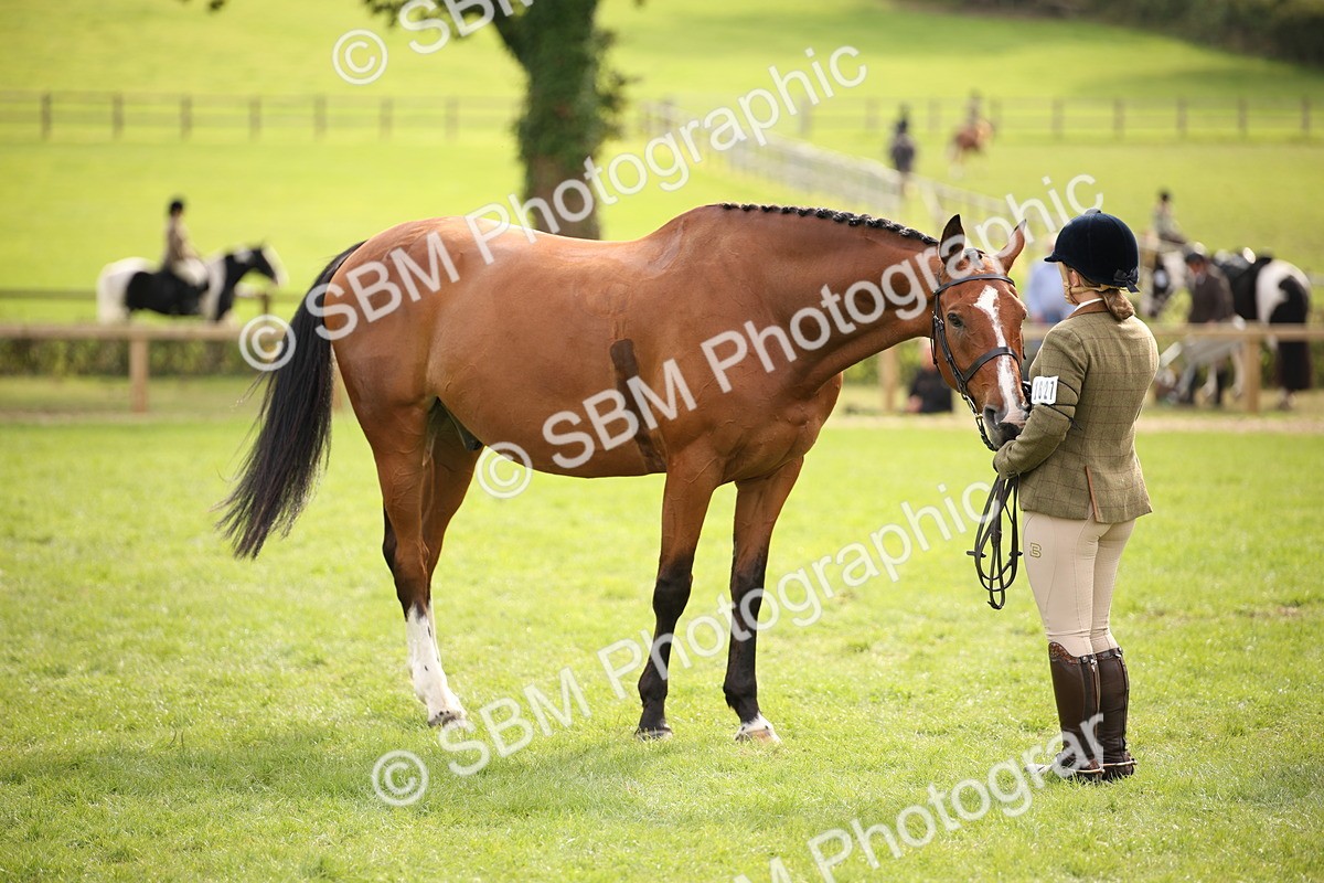 SBM_70426 - S66 - Hunter Ridden