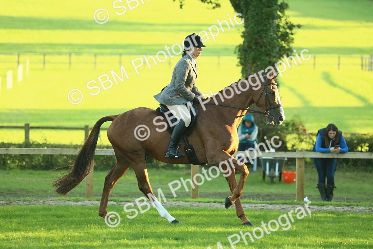 SBM_56394 - S14 - Riding Club Horse