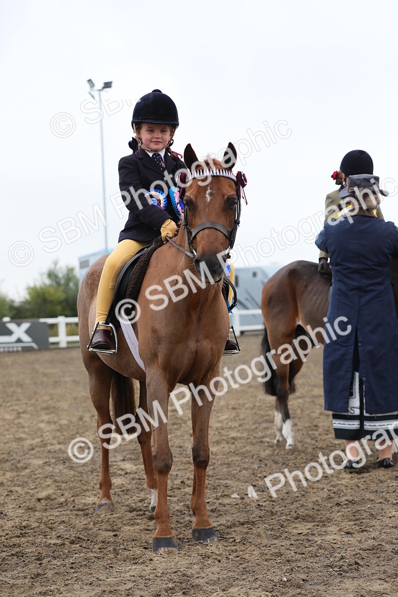 SBM_21888 - Class 806 - Young ridder 10 Yr & Under