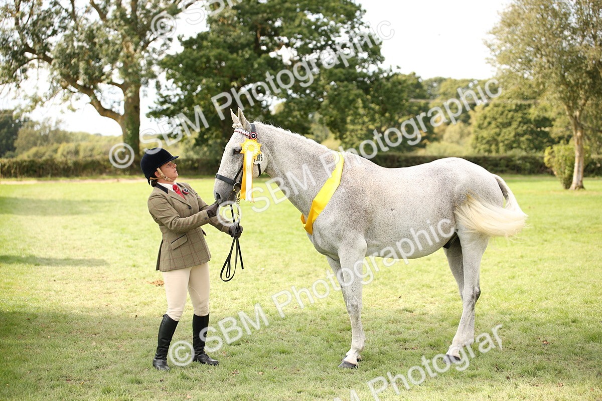 SBM_44518 - S24 - Young Veteran in hand