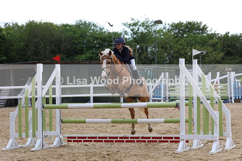 3E7A8519 - Class 14: Pony Newcomers/1m open