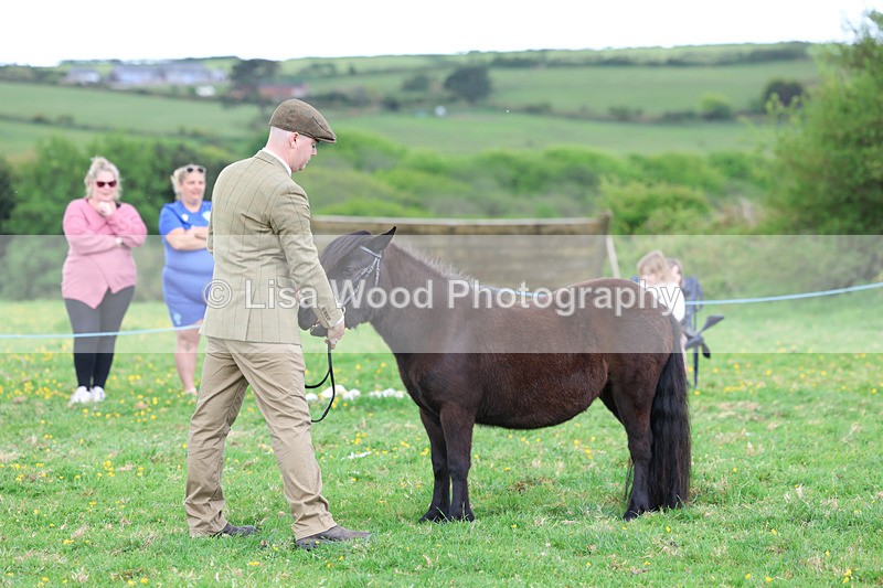 3E7A0880 - In Hand Championship