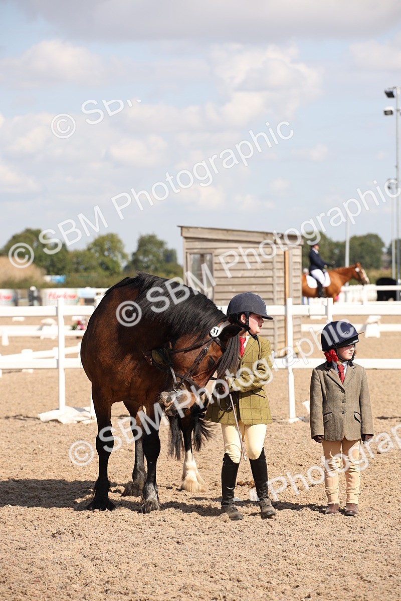SBM_03020 - Class 17 Prettiest Mare IH or Ridden