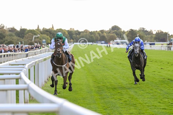 111024-Race 3-Minstrel Knight-1654 - Race 3 2.40pm William Hill Finale Handicap