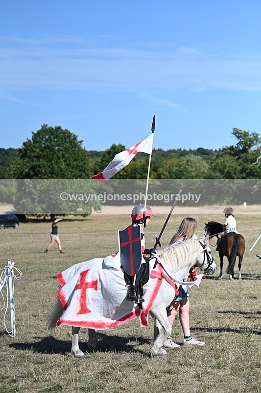 WJ7_2311 - Class 45 Fancy Dress (My Fav)