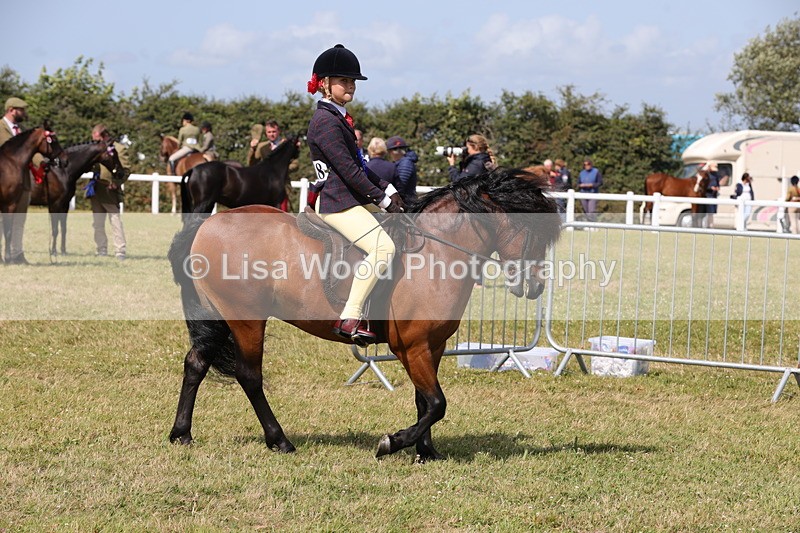 1X9A5474 - M&M Mini Ridden Championship