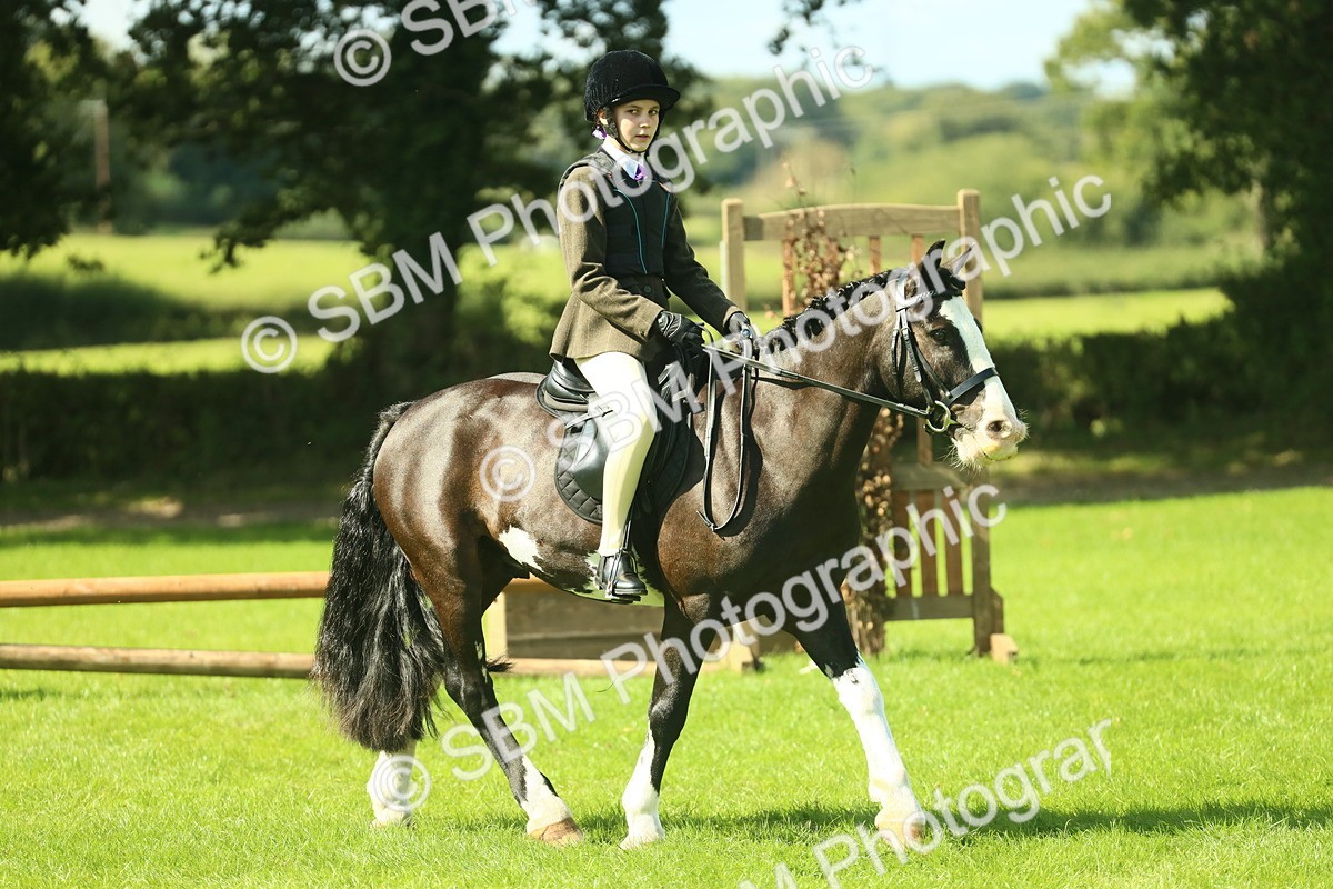 SBM_42002 - S29 - Novice & Newcomers Working Hunter Pony