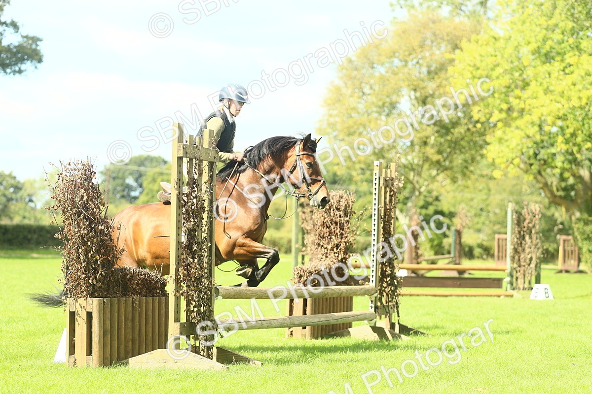 SBM_42990 - S30 - M&M Working hunter Pony
