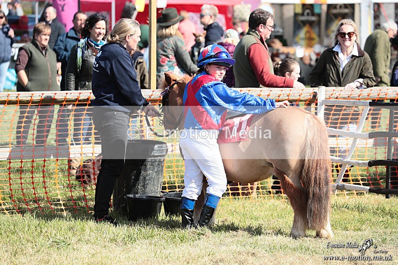 Shet 060426 389 - Shetland Pony Racing Paxford Races Easter Mon 06/04/26