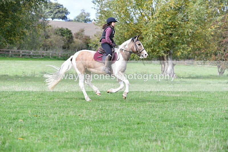 WJ5_8536 - Time 12:02 to 12:32