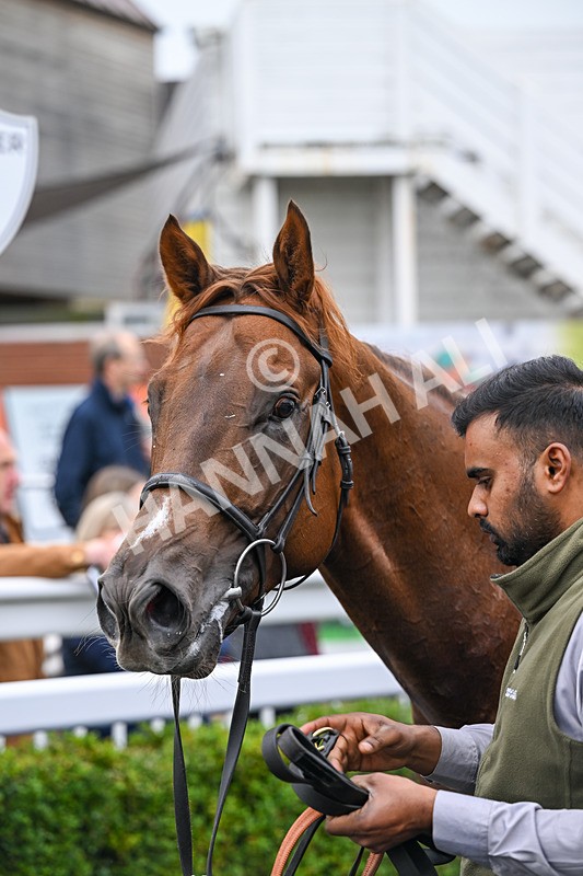 181025-Race 2-Sierra Sands-0407 - Race 2