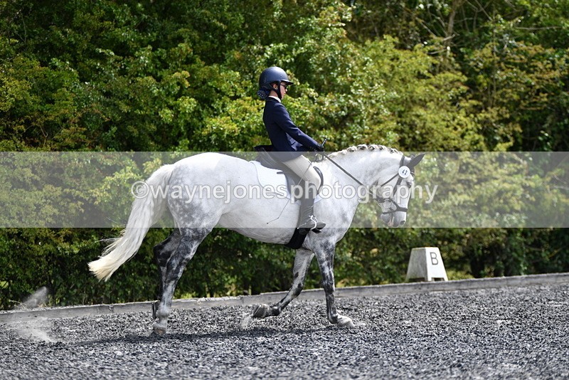 WJ5_1488 - Time 14:20 to 15:01