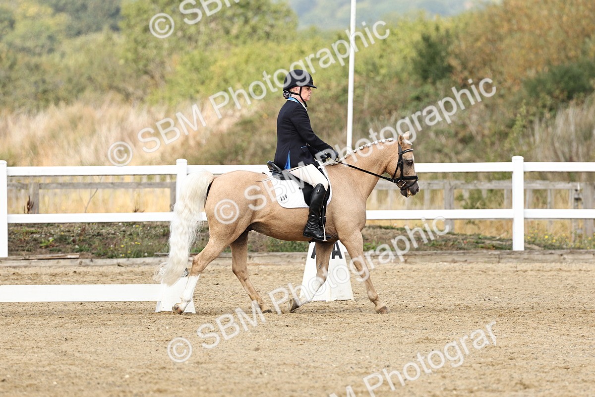 SBM_018213 - Class 16 - Novice 5 - 11.12-12.01