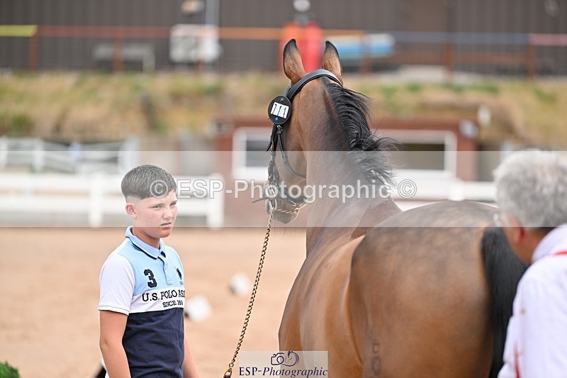 250716-142859-01110 - Trot Up 1.30 to 2.30