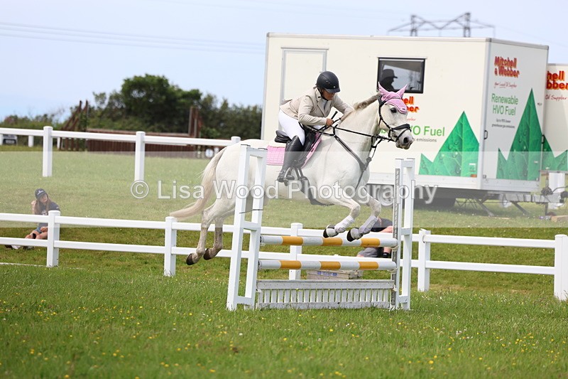 3E7A1677 - Class 13: Senior British Novice/90cm open