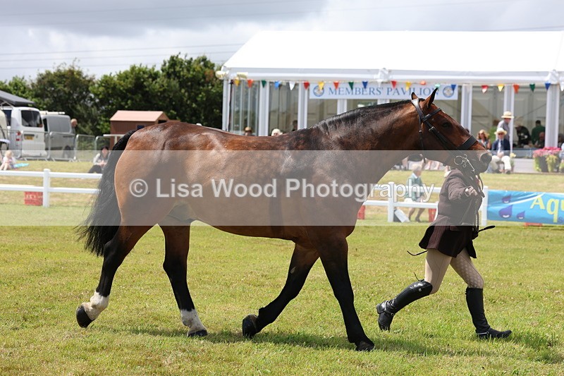 3E7A2225 - Class 10: Open Cob