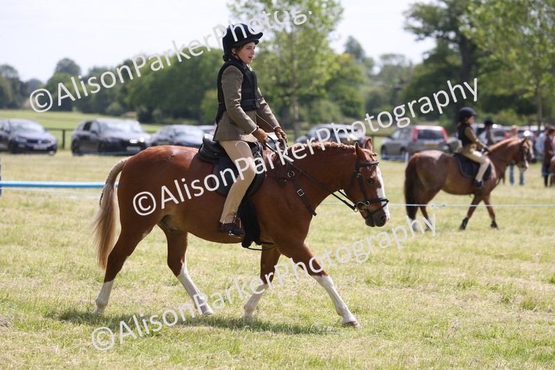 20260614-1946 - Class 21 - Novice Working Hunter Pony