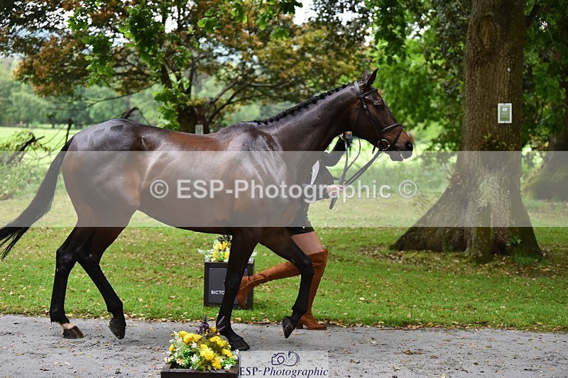 240522-152242-00297 - 326-BALLINAMEEN_BOYLE-Georgie_Selley