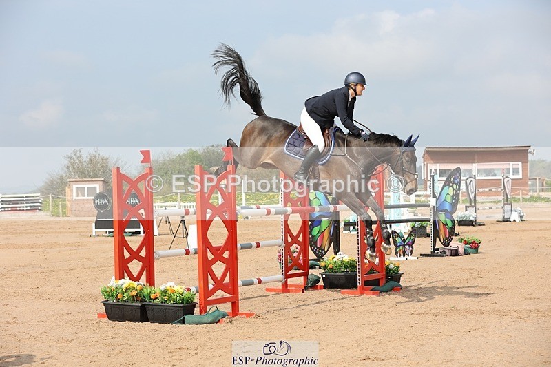 250424-102810-03030 - Cls 33 Young Horse 7yr old