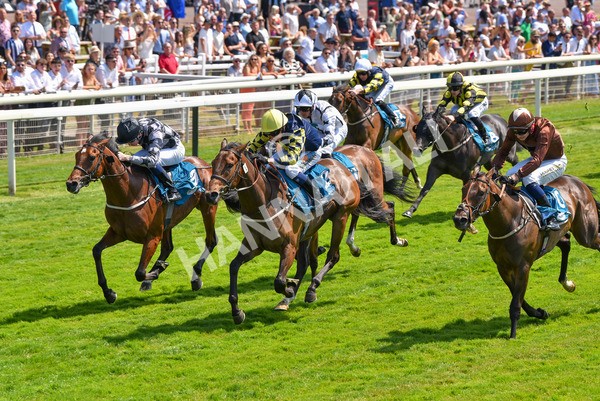 160623-Race 2-Celestial Flight-6172 - Race 2 2.25pm SKF Rous Selling Stakes