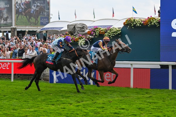 230825-Race 7-Dain Ma Nut In-0935 - Race 7 5.20pm Sky Bet Steve Birch Finale Handicap