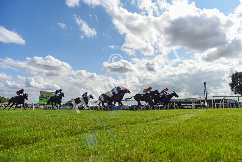 160725-Race 4-Lady Bouquet-6159 - Race 4