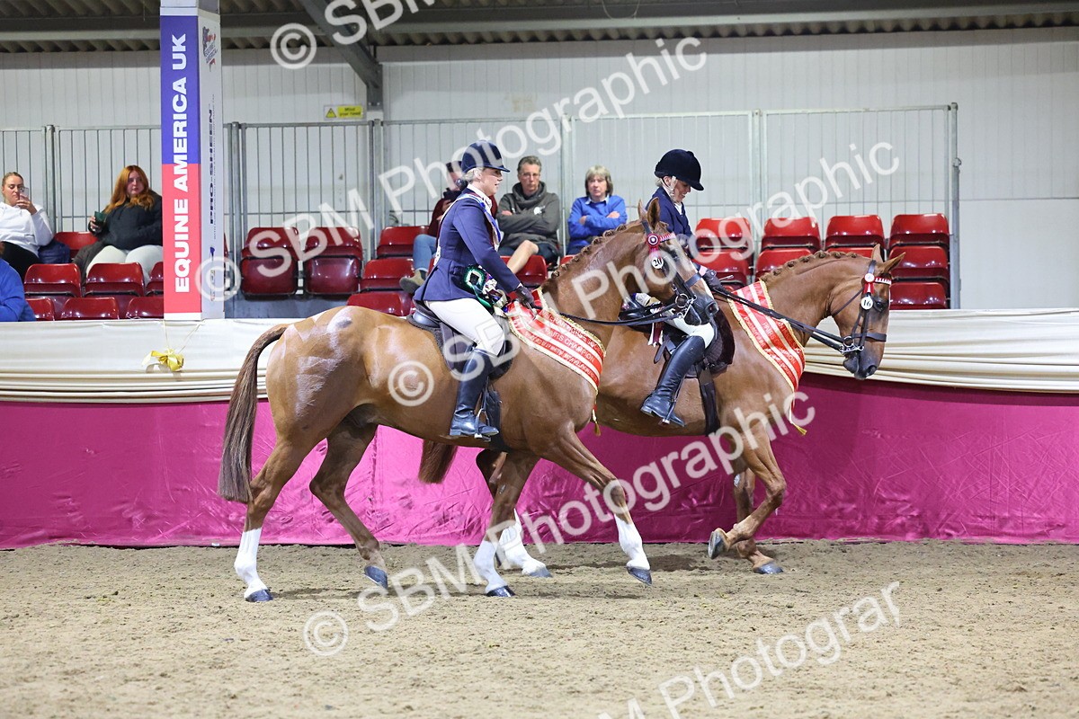 0B8A4356 - Class M Ridden Pairs Champ