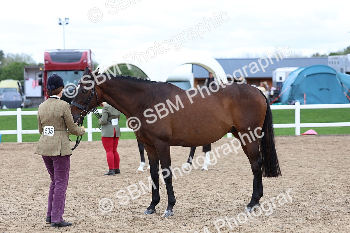 SBM_05085 - Class 27 - IH Competition Horse or Pony