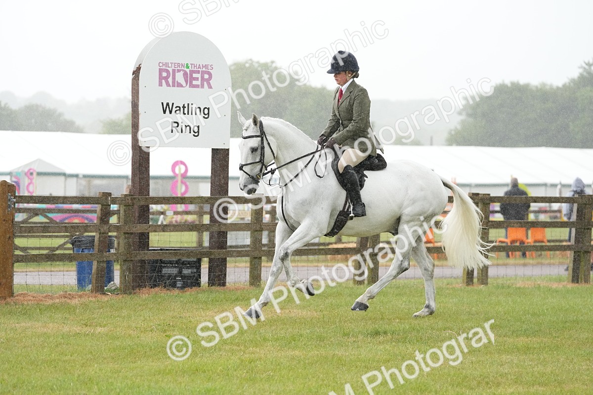 SBM_12668 - Class 97-98 - LIHS BSHA Rising Star Working Show Horse Hunter