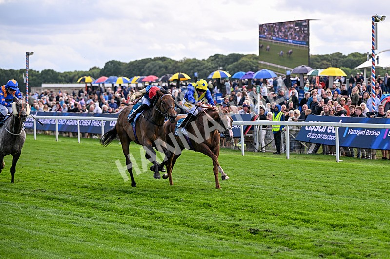 210826-Race 5-Plage De Havre-6759 - Race 5 16.10pm Assured Data Protection Handicap