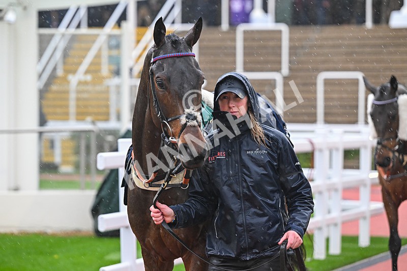 141125-Race 1-King Of The Road-8753 - Race 1