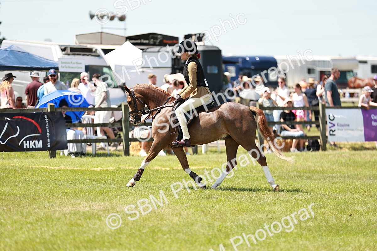 SBM_15646 - Class 108-109 - BSPS LIHS Open Gradle & Nursery Stakes
