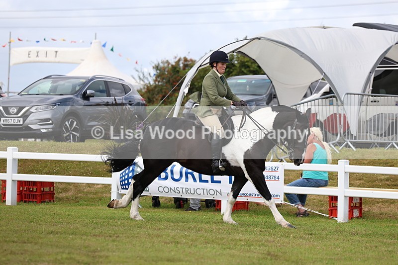 3E7A0338 - Class 6: Rising Star Maxi Cobs