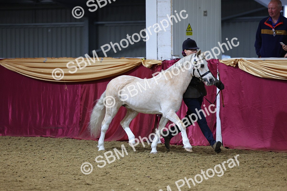 SBM_19385 - Class 901 - Supreme Final - IH Diamond