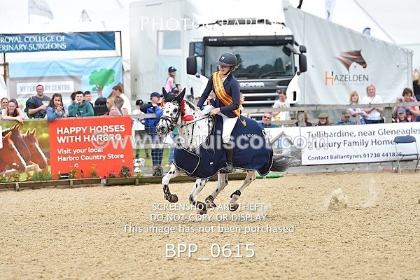BPP_0615 - RHS 2019 Selection - *Just some random spectator shots so Lucky Dip if you are there!