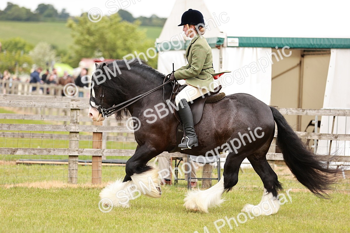 SBM_06167 - Class 39-41 TGCA In Hand and Ridden