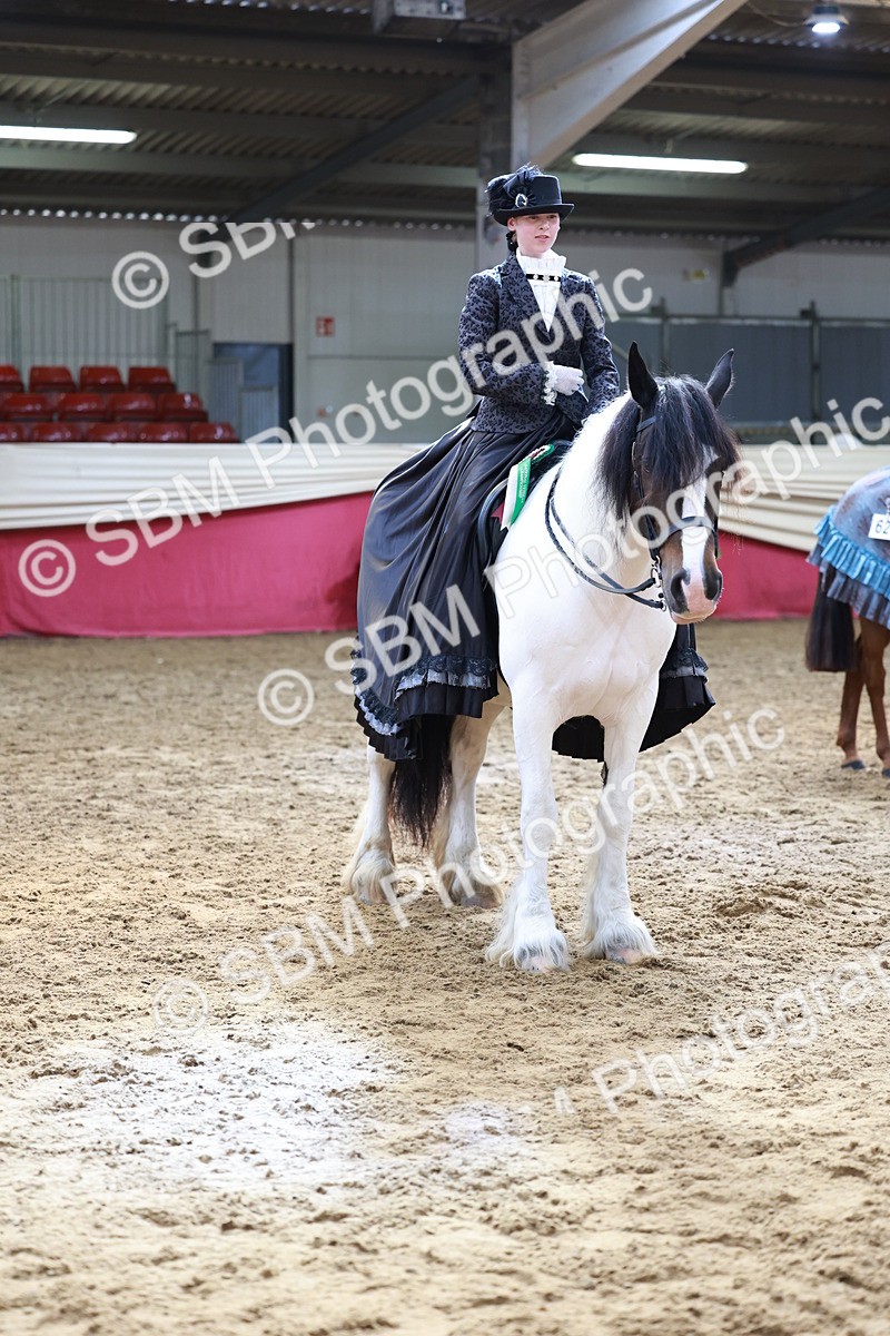 SBM_13827 - Class 106 - Ridden Costume -Astride Adult (15-19)