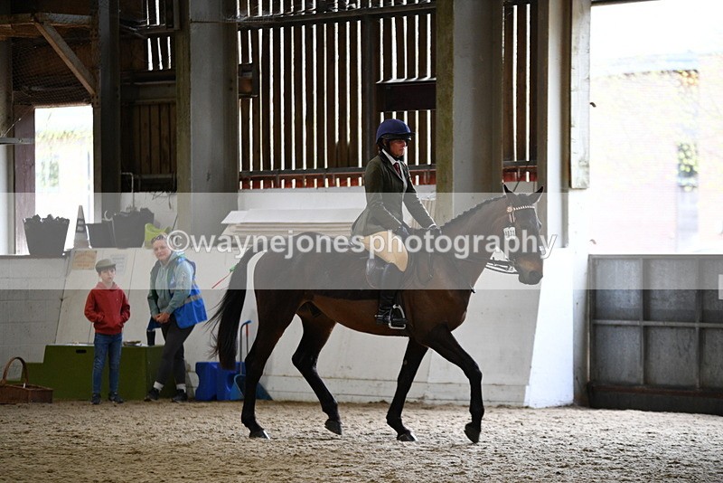 WJ5_7986 - Class 13 Ridden Part Breed