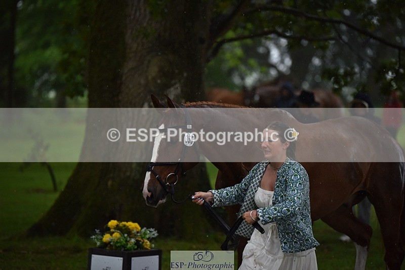 240522-153130-00401 - 355-GLOBAL_EXOTIC-Jemima_Stratton