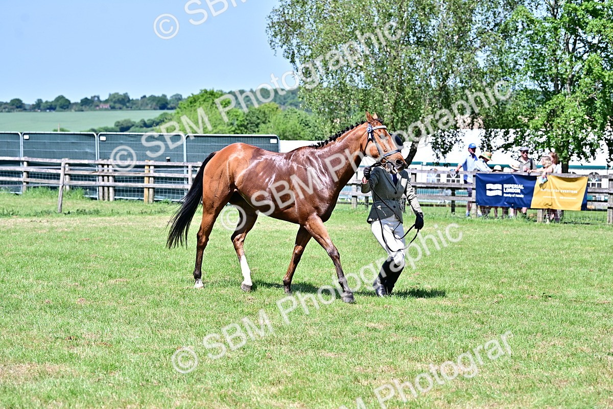 SBM_18186 - Class 99-100 - Retraining of Racehorses Ridden